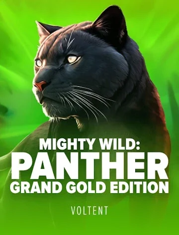 Mighty Wild Panther Grand Gold by Voltent, RTP 95.7% slot